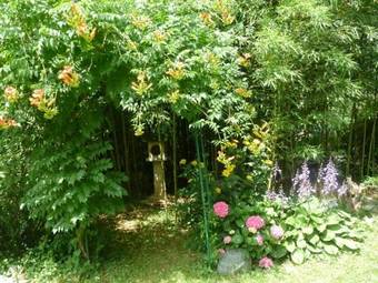 Bed & Breakfast Caf� Couette De L'�le Au F�e