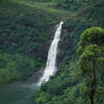 White Elephant Hotel