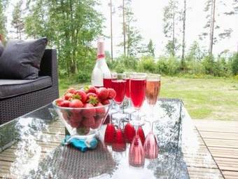 Villa Koivuniemen Tila II