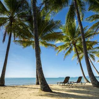 Hotel Angsana Resort And Spa