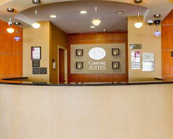 Hotel Comfort Suites Stockbridge