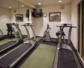 Holiday Inn Express Hotel & Suites Carson City