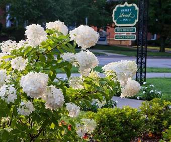 Bed & Breakfast Market Street Inn