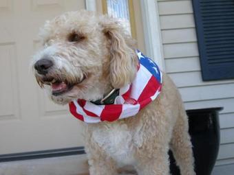 Hotel The Brandon Inn