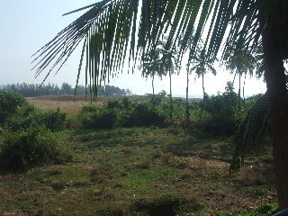 Hotel Pleasure Beach Resort