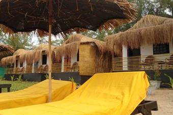 Bougainvillea Patnem