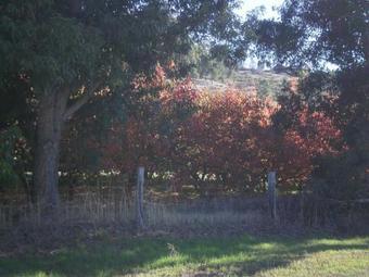 Agroturismo Brookvale House Balingup