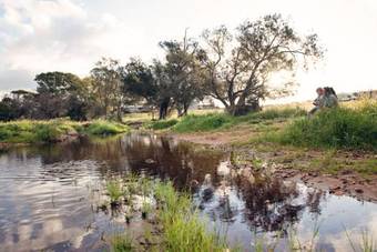 Agroturismo Northbrook Farmstay