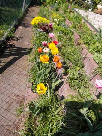 Apartamento Ferienwohnung Borcherts