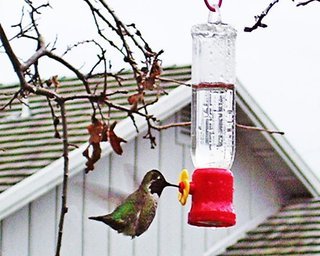 Hotel Stallion Springs Resort