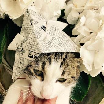 Albergue Katarankana