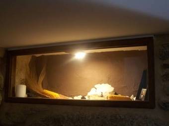 Casas Lucas - Carleo