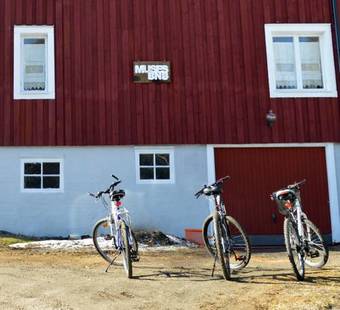 Bed & Breakfast Muses Bnb