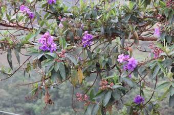 Casinha Gostosa Na Serra