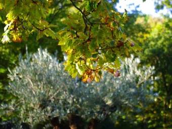 Hostal Auberge Les Tables Du Ban