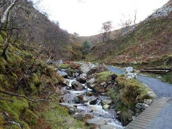 Bindaree Bed & Breakfast