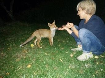 Agroturismo Borgo Tramonte