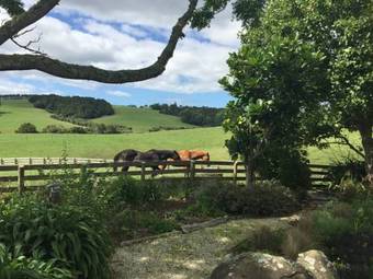 Quail Lodge Nz