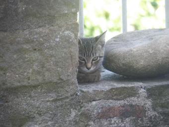 Apartamento Eremo Pace E Gioia