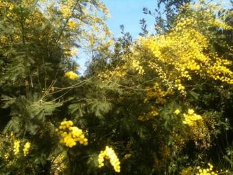 La Casa Di Ulisse B&B