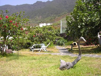 Apartamentos La Brujita