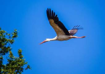 Hotel Paolos Landhaus Am Golfpark
