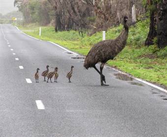 Bed & Breakfast Llarrinda