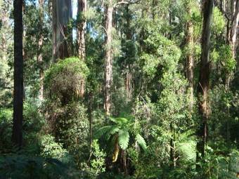 Signal Box Bed & Breakfast