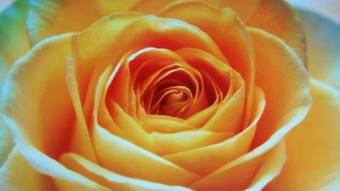 Apartamento Hotel-t8