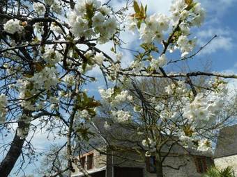 Bed & Breakfast Les Bruy�res Du Mont