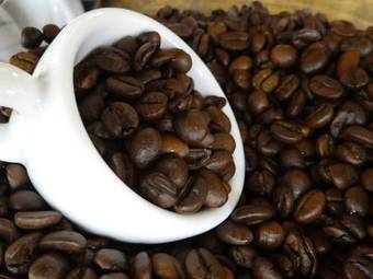 Apartment Oasi Bianca