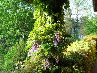 Casa Dos Canais, River Cottage