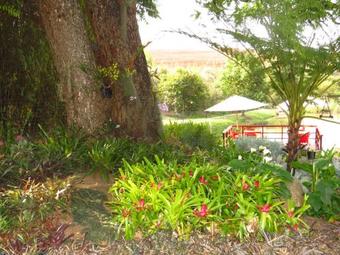 Eden Cottage
