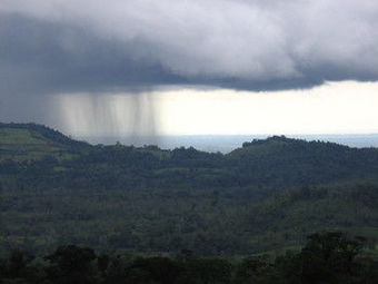 Posada Heliconias Lodge And Rainforest