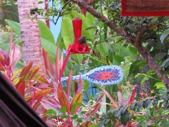 Hostal Cabinas Au Coeur Du Soleil