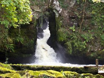 Bed & Breakfast The Bantry Bay