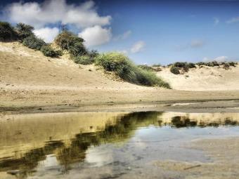 Holiday Home Plevier Comfort