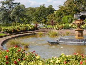 Chudleigh Bungalow 8