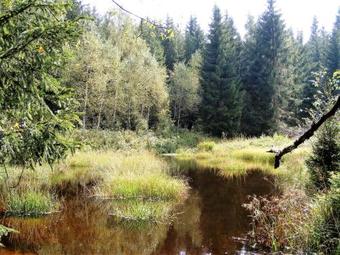 Apartman Lenka Lenora