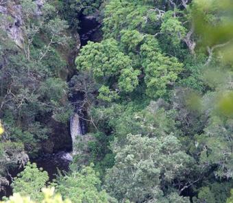 Lodge Moon Shine On Whiskey Creek