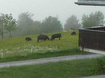 Apartamento Studio Le Plan Clou