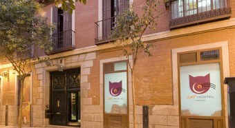 Hostal Cat's Hostel Madrid