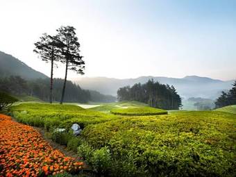 Hotel Yongpyong Resort Tower Condo