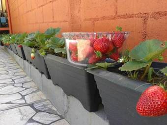 Hostal Pousada Canteiros