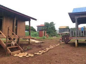 Tree Trails Travel Lodge