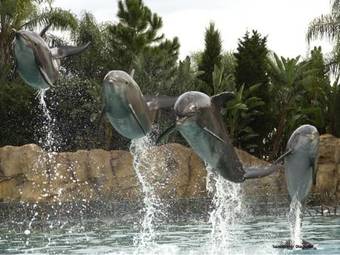 Family Friendly Home Orlando