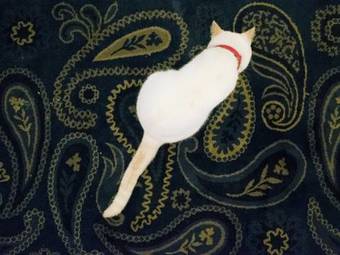 Bed & Breakfast Pension Atca