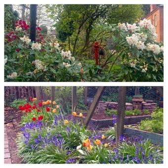 Agroturismo Oranmore