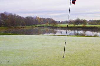 Bed & Breakfast Alexander Park Resort