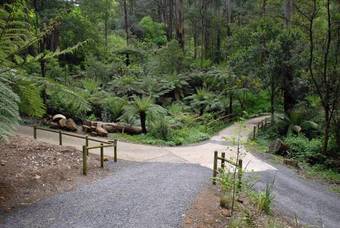 Villa Fernglen Forest Retreat